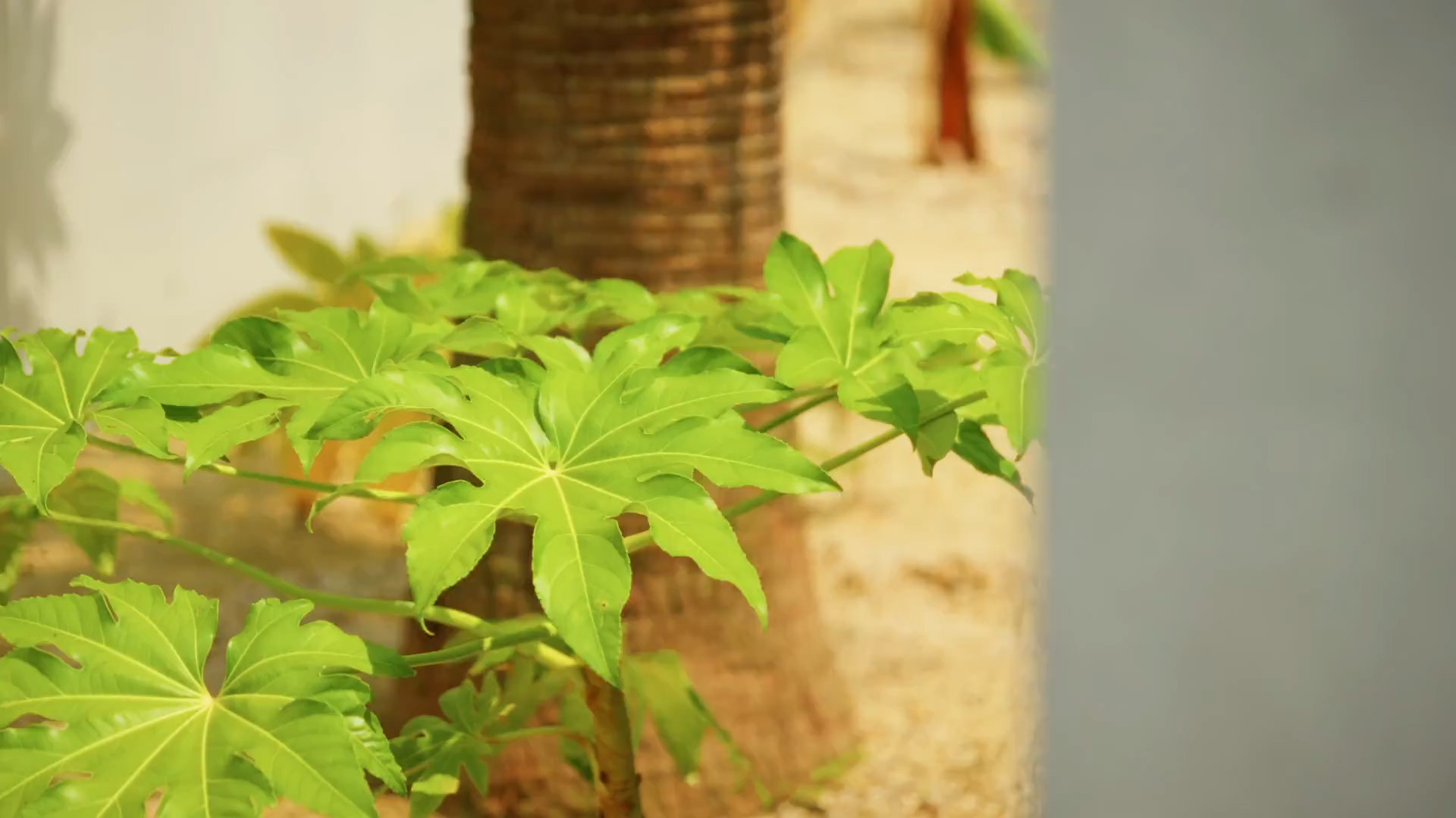 グランリトリート瀬戸内岩屋