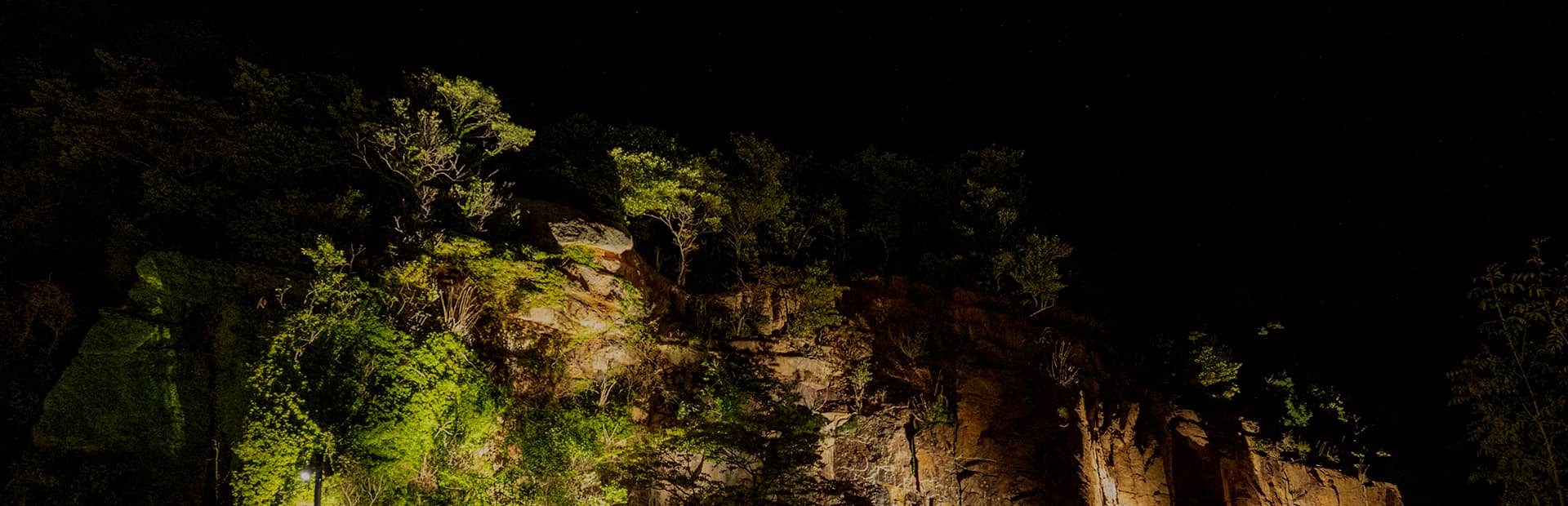 よくあるご質問